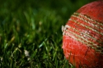 Cricket ball on grass depicting role models for boys