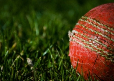 Cricket ball on grass depicting role models for boys